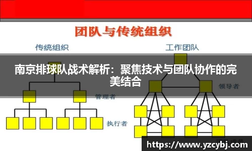 南京排球队战术解析：聚焦技术与团队协作的完美结合